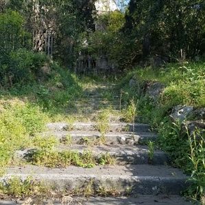 Meet your Posher, Angelica